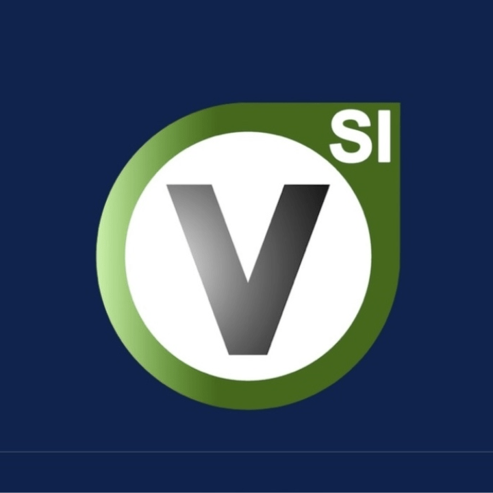Logo V-si